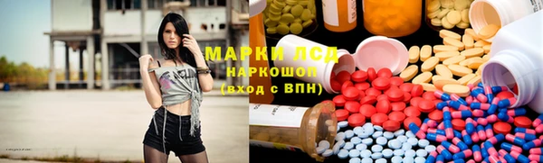 стаф Арсеньев