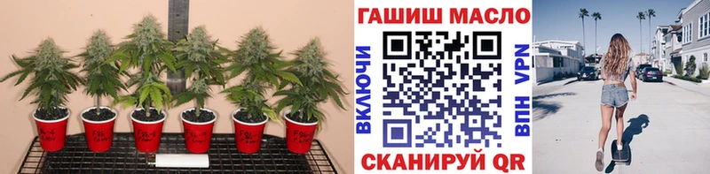 цены   Семикаракорск  ТГК концентрат 