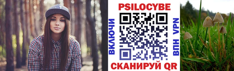 закладка  Семикаракорск  Галлюциногенные грибы Magic Shrooms 
